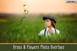 Grass and Flowers Photo Overlays: Practical Integration for Real Creative Workflows