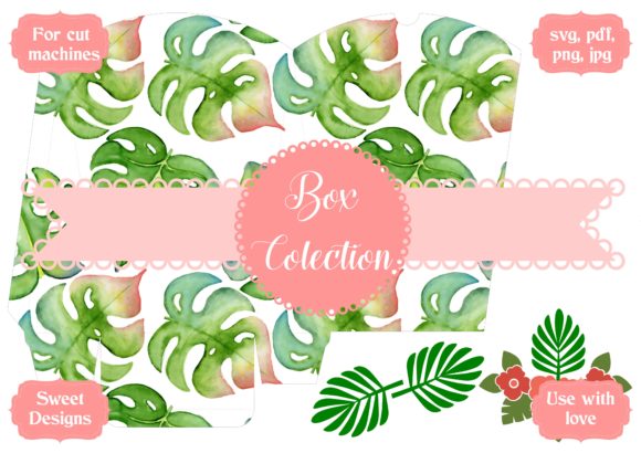 What Is a Tropical Box—and Why It’s More Than Just a Trendy Subscription Service